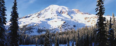 mt rainier webcams|Park Webcams